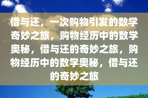 借与还，一次购物引发的数学奇妙之旅，购物经历中的数学奥秘，借与还的奇妙之旅，购物经历中的数学奥秘，借与还的奇妙之旅