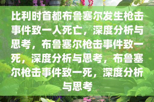 比利时首都布鲁塞尔发生枪击事件致一人死亡，深度分析与思考，布鲁塞尔枪击事件致一死，深度分析与思考，布鲁塞尔枪击事件致一死，深度分析与思考