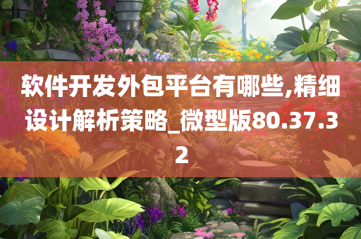 软件开发外包平台有哪些,精细设计解析策略_微型版80.37.32