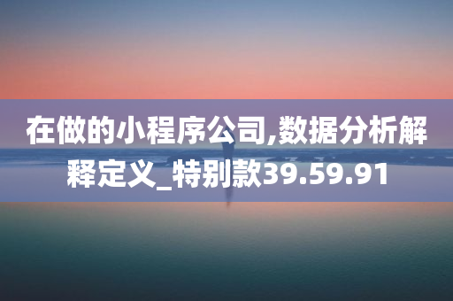 在做的小程序公司,数据分析解释定义_特别款39.59.91