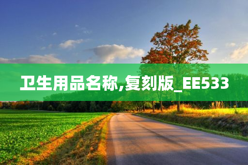 卫生用品名称,复刻版_EE533