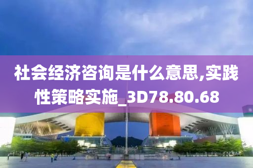 社会经济咨询是什么意思,实践性策略实施_3D78.80.68