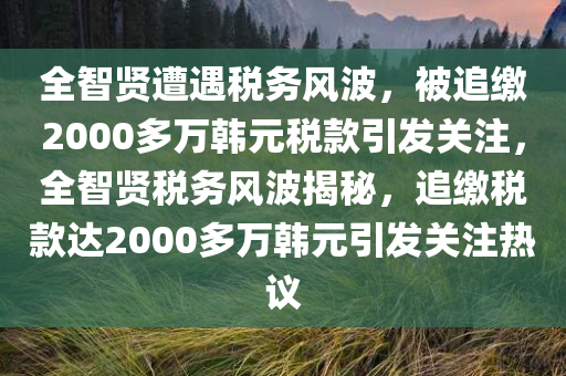 全智贤遭遇税务风波，被追缴2000多万韩元税款引发关注，全智贤税务风波揭秘，追缴税款达2000多万韩元引发关注热议