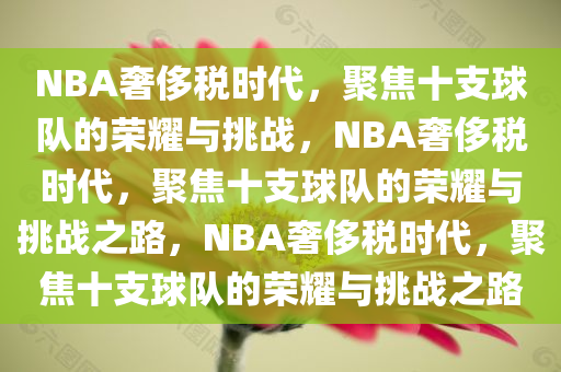 NBA奢侈税时代，聚焦十支球队的荣耀与挑战，NBA奢侈税时代，聚焦十支球队的荣耀与挑战之路，NBA奢侈税时代，聚焦十支球队的荣耀与挑战之路