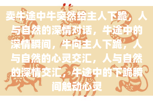 卖牛途中牛突然给主人下跪，人与自然的深情对话，牛途中的深情瞬间，牛向主人下跪，人与自然的心灵交汇，人与自然的深情交汇，牛途中的下跪瞬间触动心灵