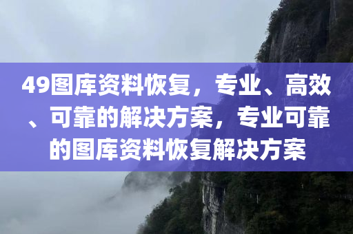 49图库资料恢复，专业、高效、可靠的解决方案，专业可靠的图库资料恢复解决方案