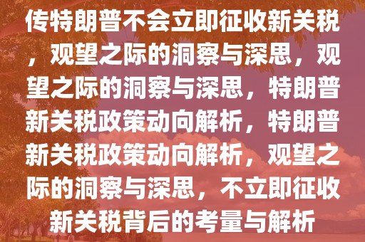 传特朗普不会立即征收新关税，观望之际的洞察与深思，观望之际的洞察与深思，特朗普新关税政策动向解析，特朗普新关税政策动向解析，观望之际的洞察与深思，不立即征收新关税背后的考量与解析