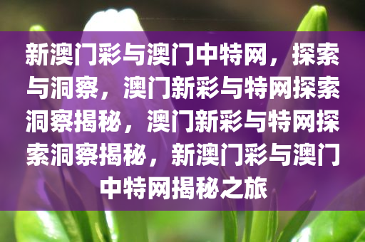 新澳门彩与澳门中特网，探索与洞察，澳门新彩与特网探索洞察揭秘，澳门新彩与特网探索洞察揭秘，新澳门彩与澳门中特网揭秘之旅