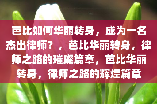 芭比如何华丽转身，成为一名杰出律师？，芭比华丽转身，律师之路的璀璨篇章，芭比华丽转身，律师之路的辉煌篇章