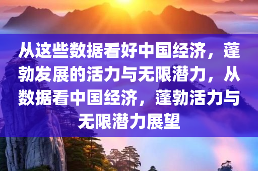 从这些数据看好中国经济，蓬勃发展的活力与无限潜力，从数据看中国经济，蓬勃活力与无限潜力展望