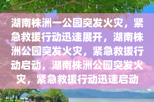 湖南株洲一公园突发火灾，紧急救援行动迅速展开，湖南株洲公园突发火灾，紧急救援行动启动，湖南株洲公园突发火灾，紧急救援行动迅速启动