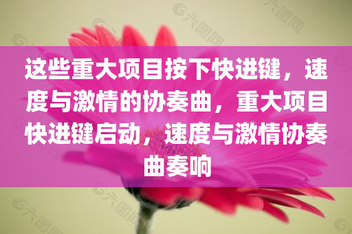 这些重大项目按下快进键，速度与激情的协奏曲，重大项目快进键启动，速度与激情协奏曲奏响