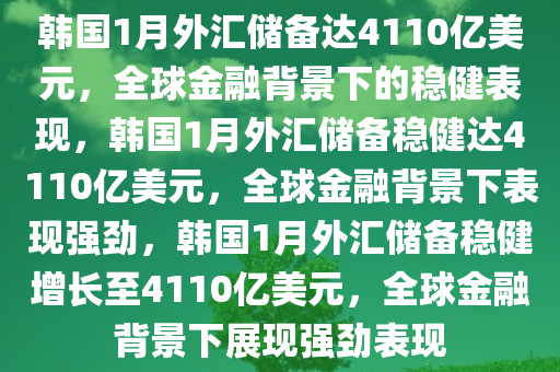 韩国1月外汇储备达4110亿美元，全球金融背景下的稳健表现，韩国1月外汇储备稳健达4110亿美元，全球金融背景下表现强劲，韩国1月外汇储备稳健增长至4110亿美元，全球金融背景下展现强劲表现