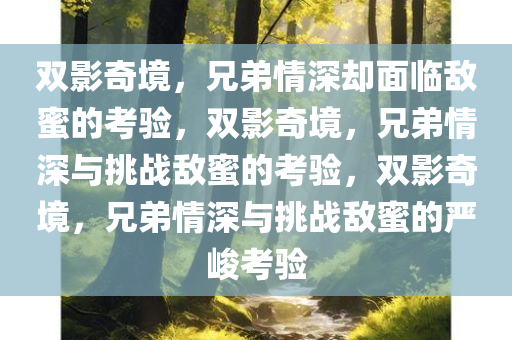 双影奇境，兄弟情深却面临敌蜜的考验，双影奇境，兄弟情深与挑战敌蜜的考验，双影奇境，兄弟情深与挑战敌蜜的严峻考验