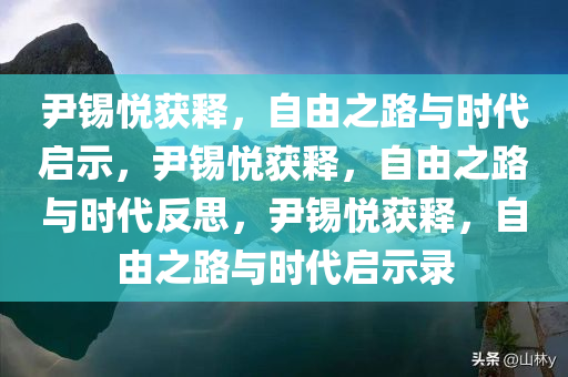 尹锡悦获释，自由之路与时代启示，尹锡悦获释，自由之路与时代反思，尹锡悦获释，自由之路与时代启示录