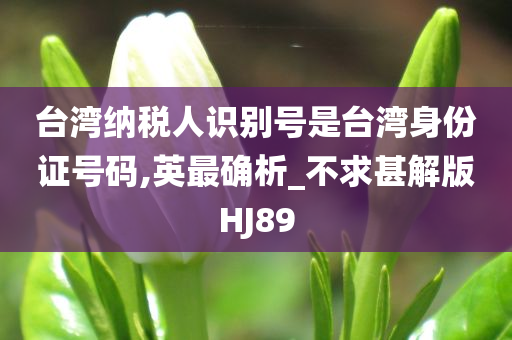 台湾纳税人识别号是台湾身份证号码,英最确析_不求甚解版HJ89