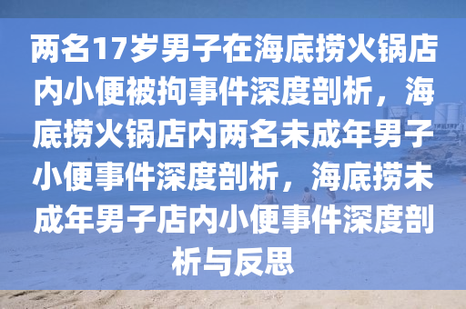 两名17岁男子在海底捞火锅店内小便被拘事件深度剖析，海底捞火锅店内两名未成年男子小便事件深度剖析，海底捞未成年男子店内小便事件深度剖析与反思