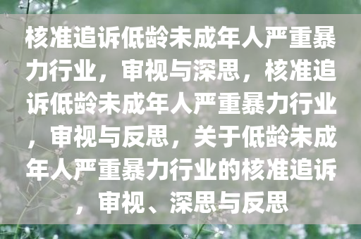 核准追诉低龄未成年人严重暴力行业，审视与深思，核准追诉低龄未成年人严重暴力行业，审视与反思，关于低龄未成年人严重暴力行业的核准追诉，审视、深思与反思