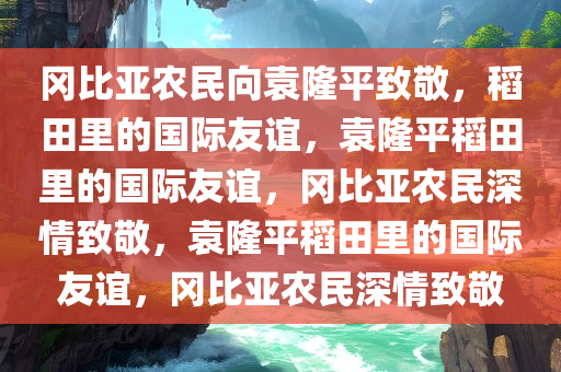 冈比亚农民向袁隆平致敬，稻田里的国际友谊，袁隆平稻田里的国际友谊，冈比亚农民深情致敬，袁隆平稻田里的国际友谊，冈比亚农民深情致敬