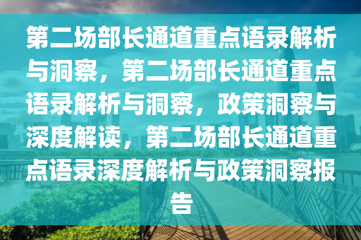 第二场部长通道重点语录解析与洞察，第二场部长通道重点语录解析与洞察，政策洞察与深度解读，第二场部长通道重点语录深度解析与政策洞察报告