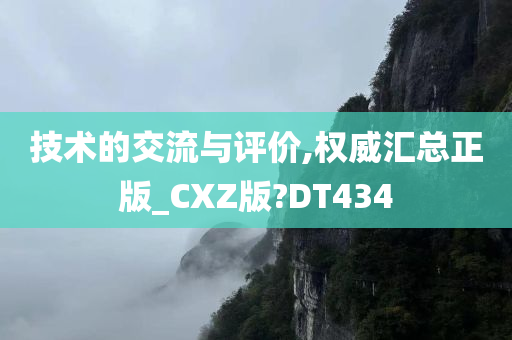 技术的交流与评价,权威汇总正版_CXZ版?DT434