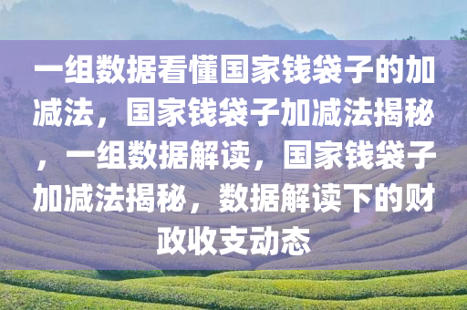 一组数据看懂国家钱袋子的加减法，国家钱袋子加减法揭秘，一组数据解读，国家钱袋子加减法揭秘，数据解读下的财政收支动态