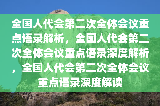 全国人代会第二次全体会议重点语录解析，全国人代会第二次全体会议重点语录深度解析，全国人代会第二次全体会议重点语录深度解读