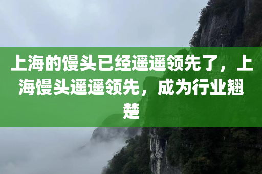 上海的馒头已经遥遥领先了，上海馒头遥遥领先，成为行业翘楚