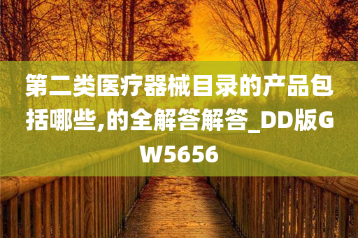 第二类医疗器械目录的产品包括哪些,的全解答解答_DD版GW5656