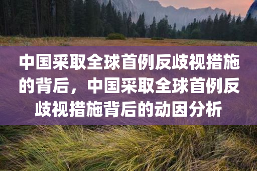 中国采取全球首例反歧视措施的背后，中国采取全球首例反歧视措施背后的动因分析