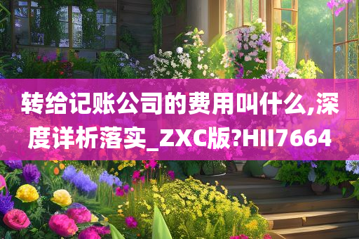 转给记账公司的费用叫什么,深度详析落实_ZXC版?HII7664