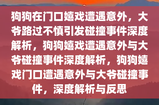 狗狗在门口嬉戏遭遇意外，大爷路过不慎引发碰撞事件深度解析，狗狗嬉戏遭遇意外与大爷碰撞事件深度解析，狗狗嬉戏门口遭遇意外与大爷碰撞事件，深度解析与反思