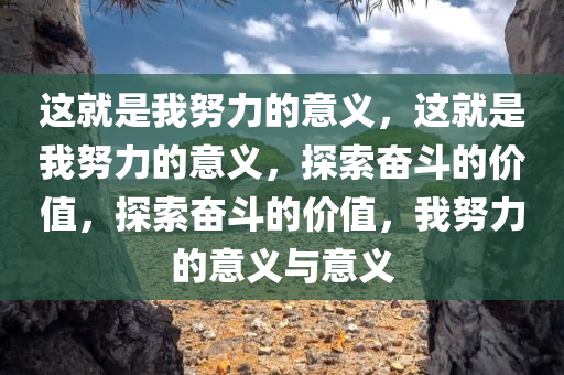 这就是我努力的意义，这就是我努力的意义，探索奋斗的价值，探索奋斗的价值，我努力的意义与意义