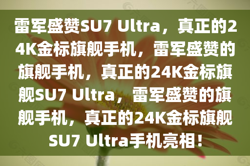 2025年3月8日 第2页