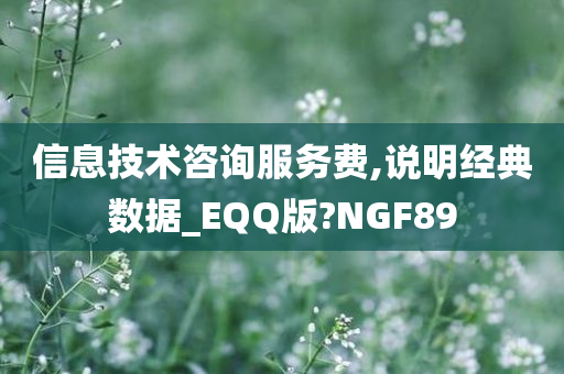 信息技术咨询服务费,说明经典数据_EQQ版?NGF89