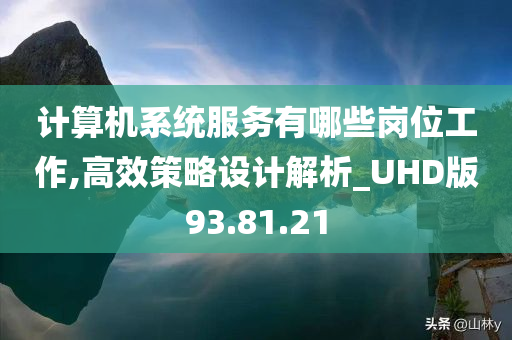 计算机系统服务有哪些岗位工作,高效策略设计解析_UHD版93.81.21