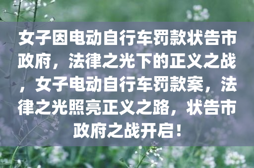 女子因电动自行车罚款状告市政府，法律之光下的正义之战，女子电动自行车罚款案，法律之光照亮正义之路，状告市政府之战开启！