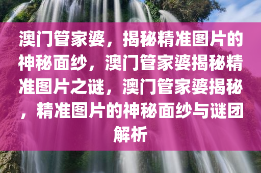 澳门管家婆，揭秘精准图片的神秘面纱，澳门管家婆揭秘精准图片之谜，澳门管家婆揭秘，精准图片的神秘面纱与谜团解析