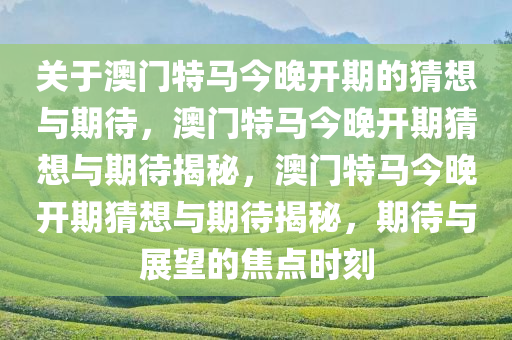 关于澳门特马今晚开期的猜想与期待，澳门特马今晚开期猜想与期待揭秘，澳门特马今晚开期猜想与期待揭秘，期待与展望的焦点时刻