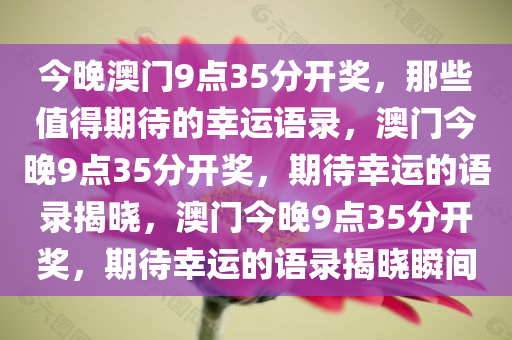 今晚澳门9点35分开奖，那些值得期待的幸运语录，澳门今晚9点35分开奖，期待幸运的语录揭晓，澳门今晚9点35分开奖，期待幸运的语录揭晓瞬间