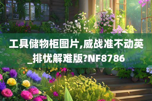 工具储物柜图片,威战准不动英_排忧解难版?NF8786