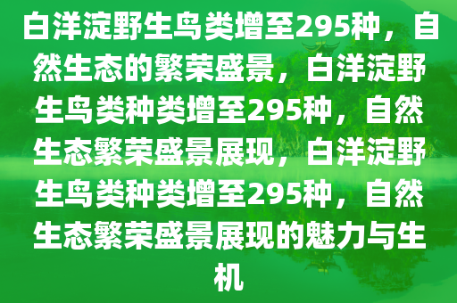 白洋淀野生鸟类增至295种，自然生态的繁荣盛景，白洋淀野生鸟类种类增至295种，自然生态繁荣盛景展现，白洋淀野生鸟类种类增至295种，自然生态繁荣盛景展现的魅力与生机