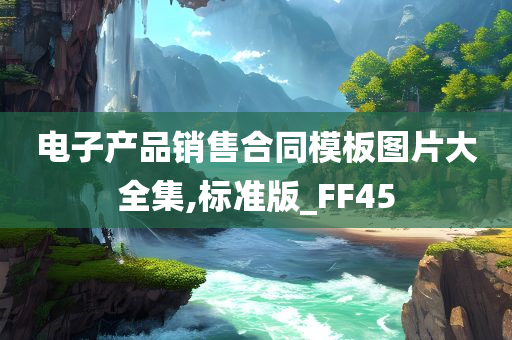 电子产品销售合同模板图片大全集,标准版_FF45