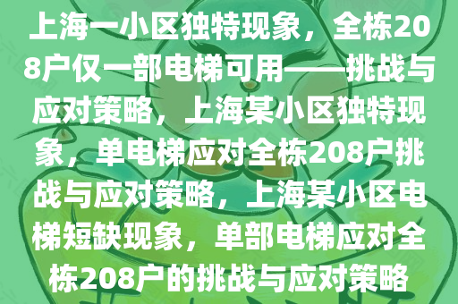 上海一小区独特现象，全栋208户仅一部电梯可用——挑战与应对策略，上海某小区独特现象，单电梯应对全栋208户挑战与应对策略，上海某小区电梯短缺现象，单部电梯应对全栋208户的挑战与应对策略