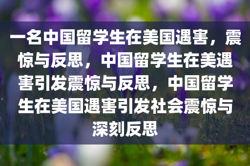 一名中国留学生在美国遇害，震惊与反思，中国留学生在美遇害引发震惊与反思，中国留学生在美国遇害引发社会震惊与深刻反思