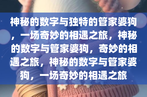 神秘的数字与独特的管家婆狗，一场奇妙的相遇之旅，神秘的数字与管家婆狗，奇妙的相遇之旅，神秘的数字与管家婆狗，一场奇妙的相遇之旅