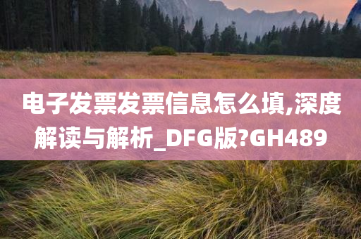 电子发票发票信息怎么填,深度解读与解析_DFG版?GH489