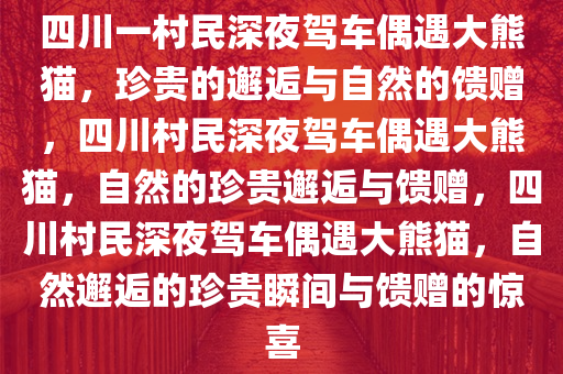 四川一村民深夜驾车偶遇大熊猫，珍贵的邂逅与自然的馈赠，四川村民深夜驾车偶遇大熊猫，自然的珍贵邂逅与馈赠，四川村民深夜驾车偶遇大熊猫，自然邂逅的珍贵瞬间与馈赠的惊喜