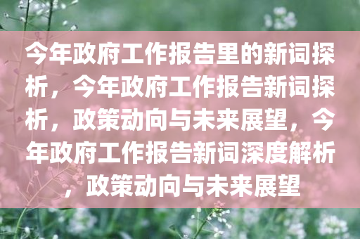 今年政府工作报告里的新词探析，今年政府工作报告新词探析，政策动向与未来展望