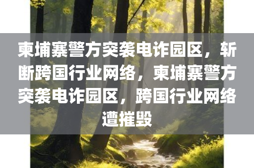 柬埔寨警方突袭电诈园区，斩断跨国行业网络，柬埔寨警方突袭电诈园区，跨国行业网络遭摧毁